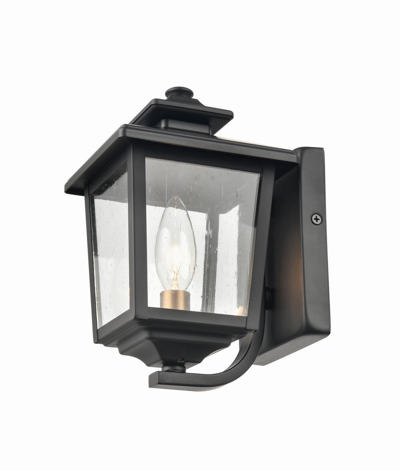 Eldrick One Light Outdoor Hanging Lantern Powder Coated Black