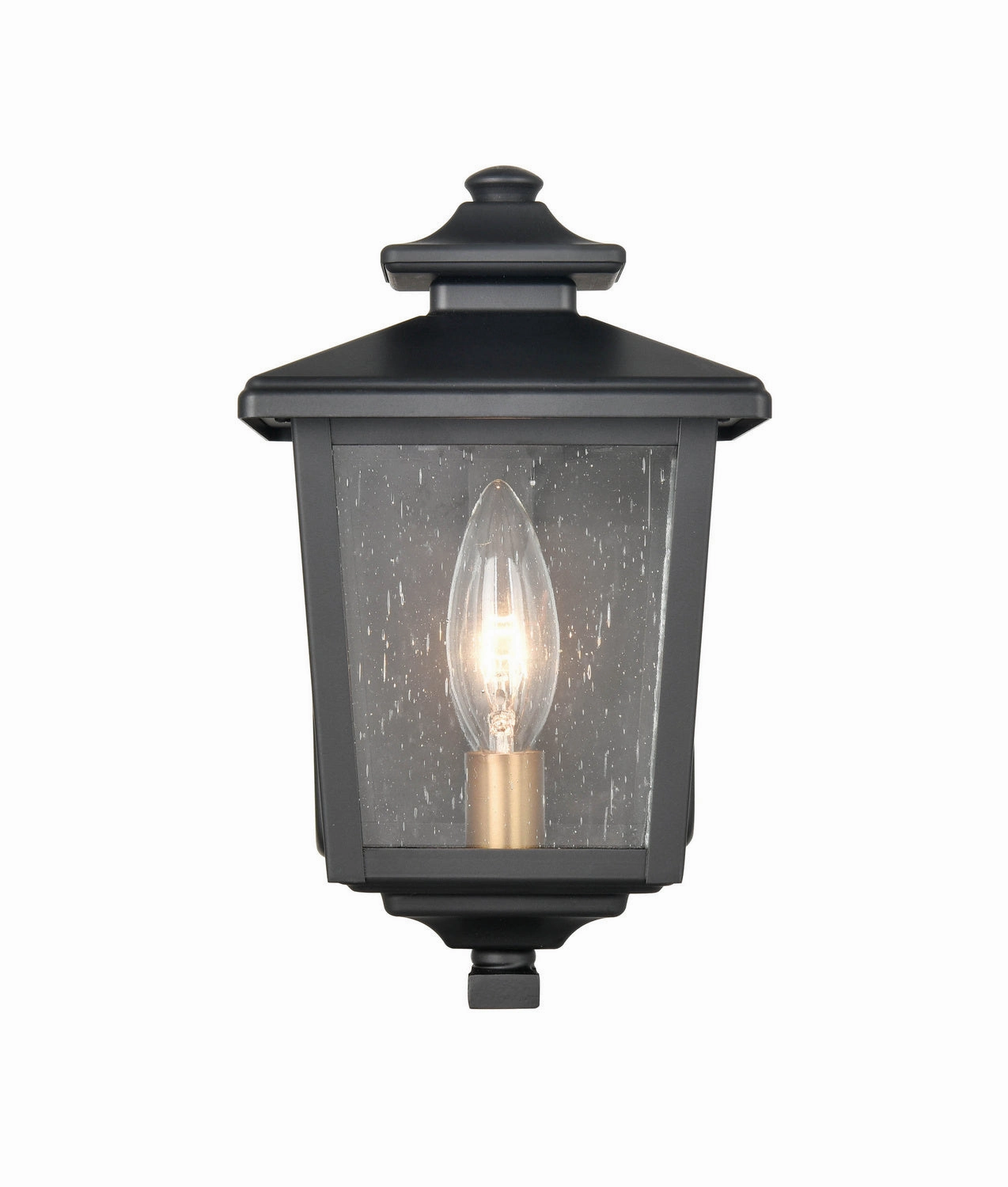 Eldrick One Light Outdoor Hanging Lantern Powder Coated Black