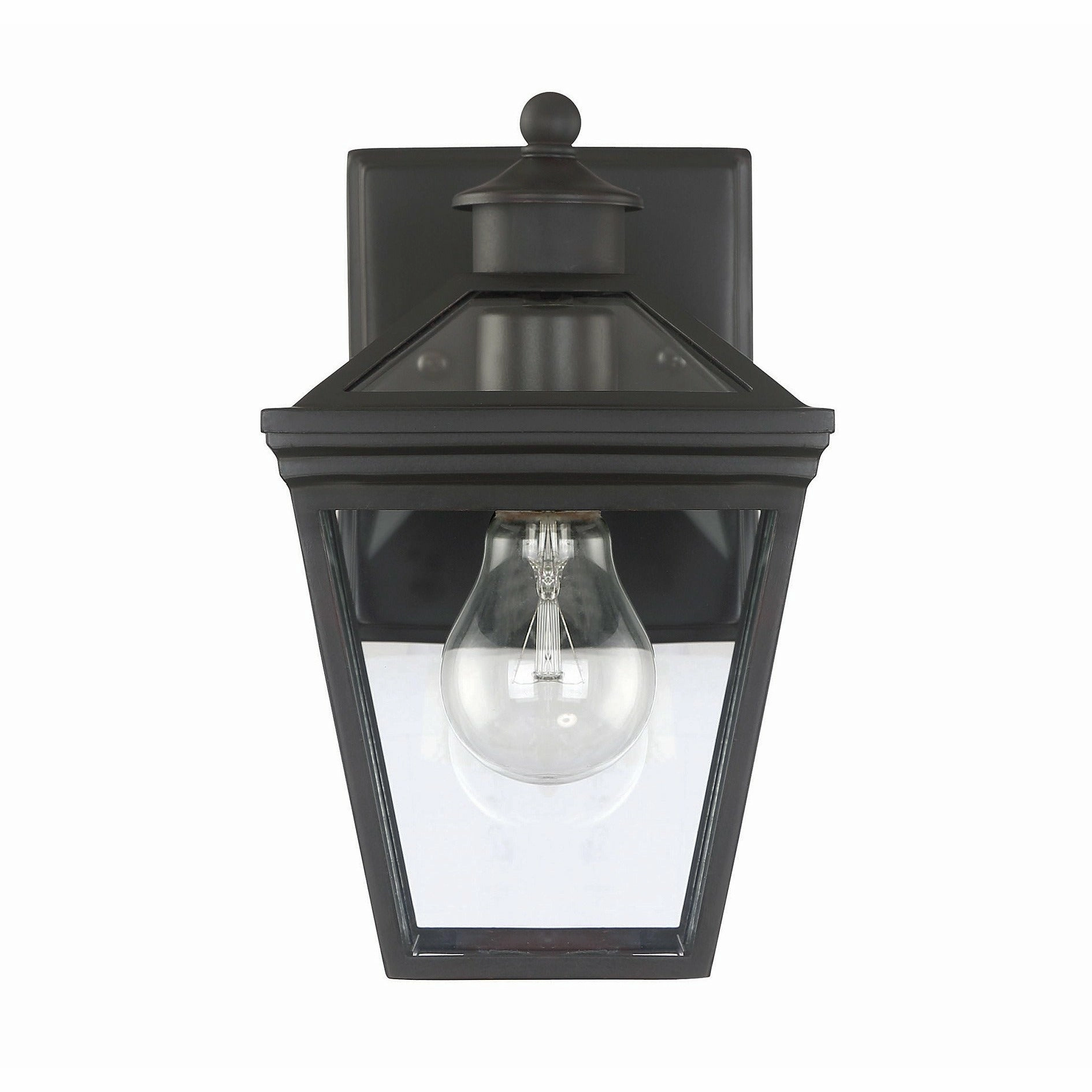 Ellijay Outdoor Wall Light