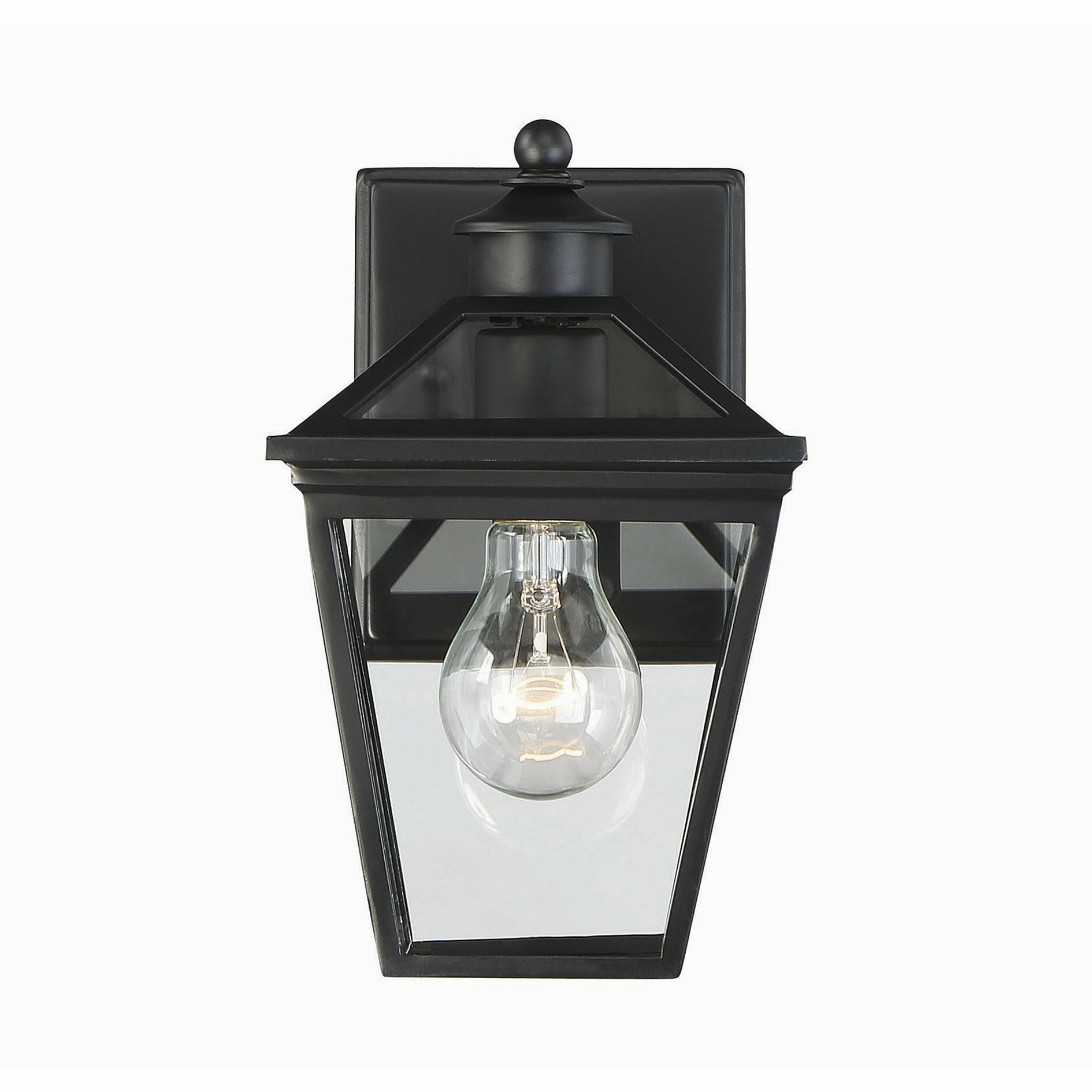 Ellijay Outdoor Wall Light