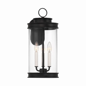 Englewood 3-Light Outdoor Wall LanternWeatherproof outdoor lighting