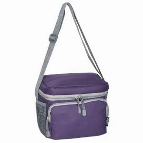 Biggest Savings Now Shop Todays Picks Everest Cooler Lunch Bag  - Eggplant Purple
