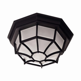 Exterior Collections 1-Light Outdoor Ceiling LightWeatherproof outdoor lighting