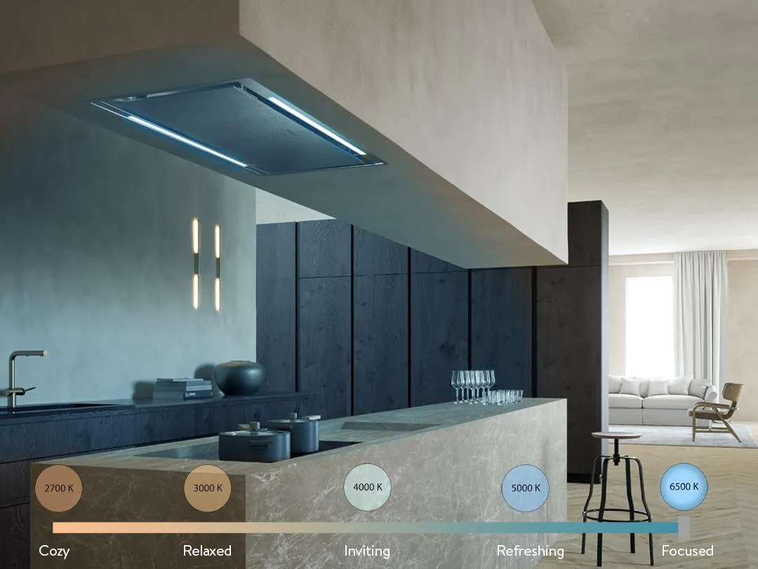 Faber STRTIS48SSV Stratus Ceiling 48X27 Ss - Vam - 600/395/295