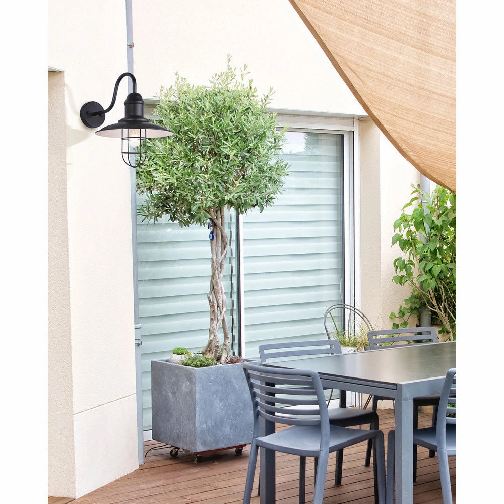 Felix 1-Light Outdoor Wall Light