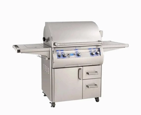 Fire Magic Echelon Diamond 30" Portable Grill with Digital Thermometer & Flush Mounted Single Side Burner E660s large capacity charcoal BBQ grills
