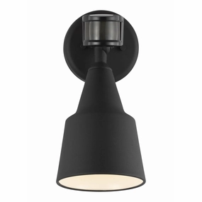 Flood Light 1-Light Outdoor Wall Light with Photo and Motion SensorWeatherproof outdoor lighting