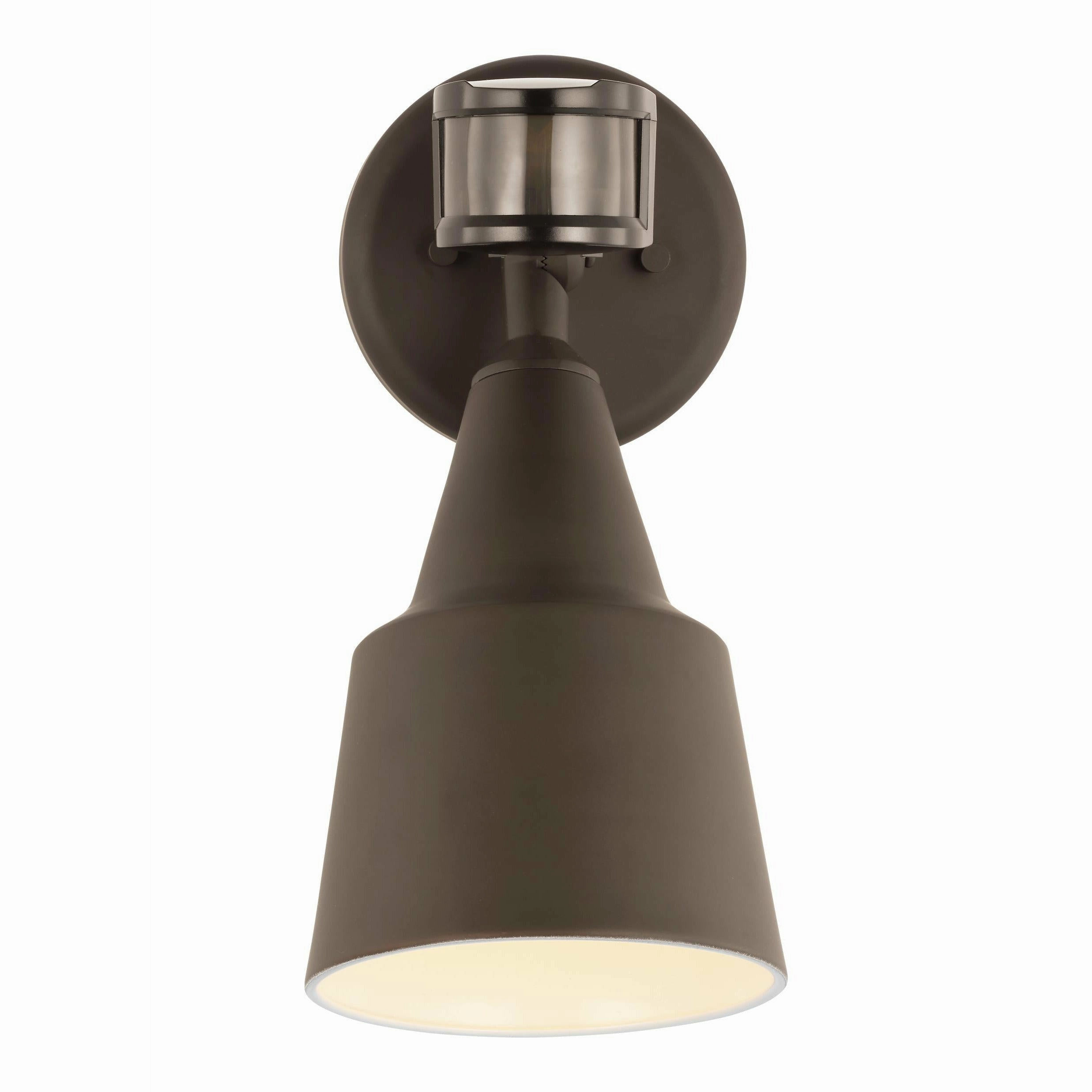 Flood Light 1-Light Outdoor Wall Light with Photo and Motion Sensor