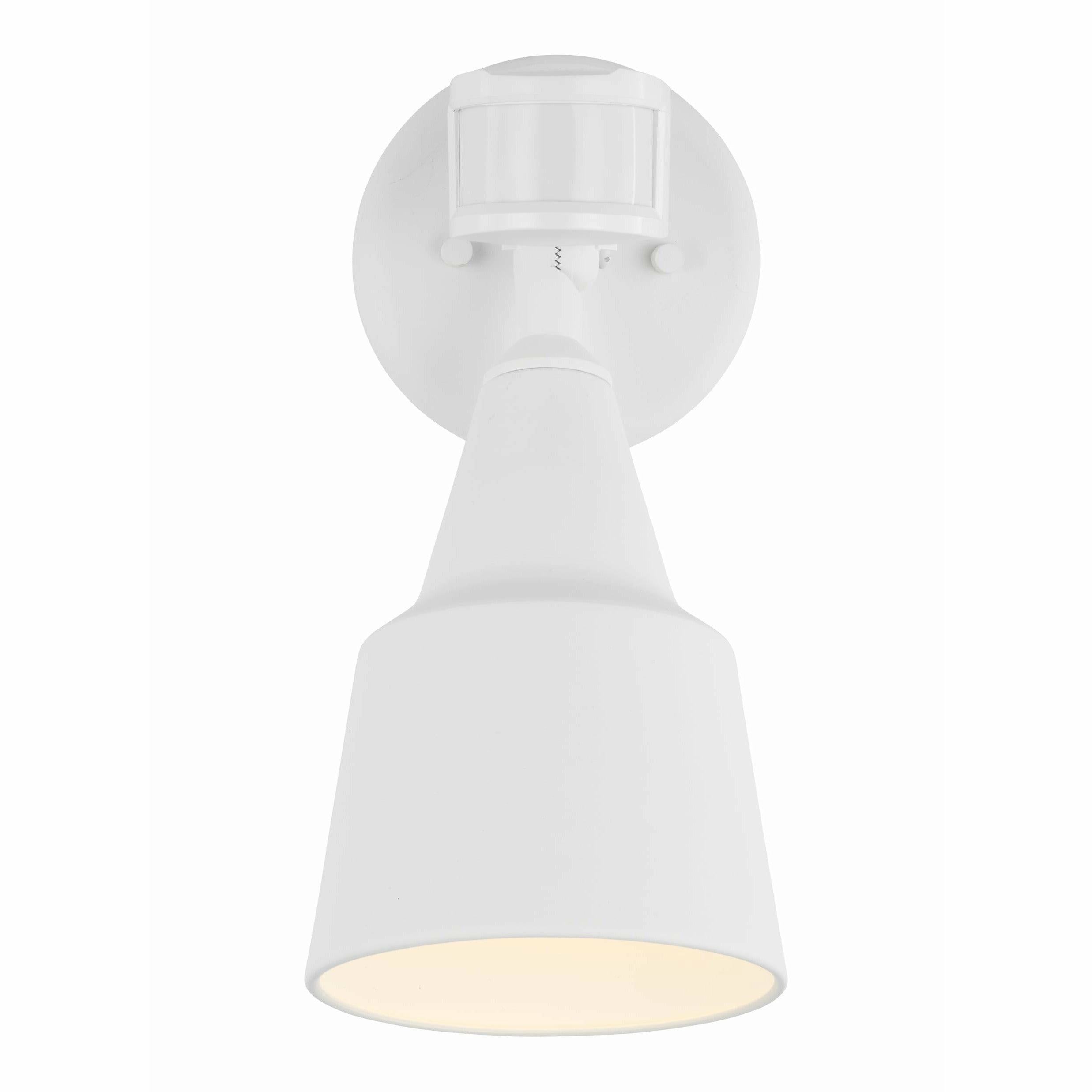Flood Light 1-Light Outdoor Wall Light with Photo and Motion Sensor