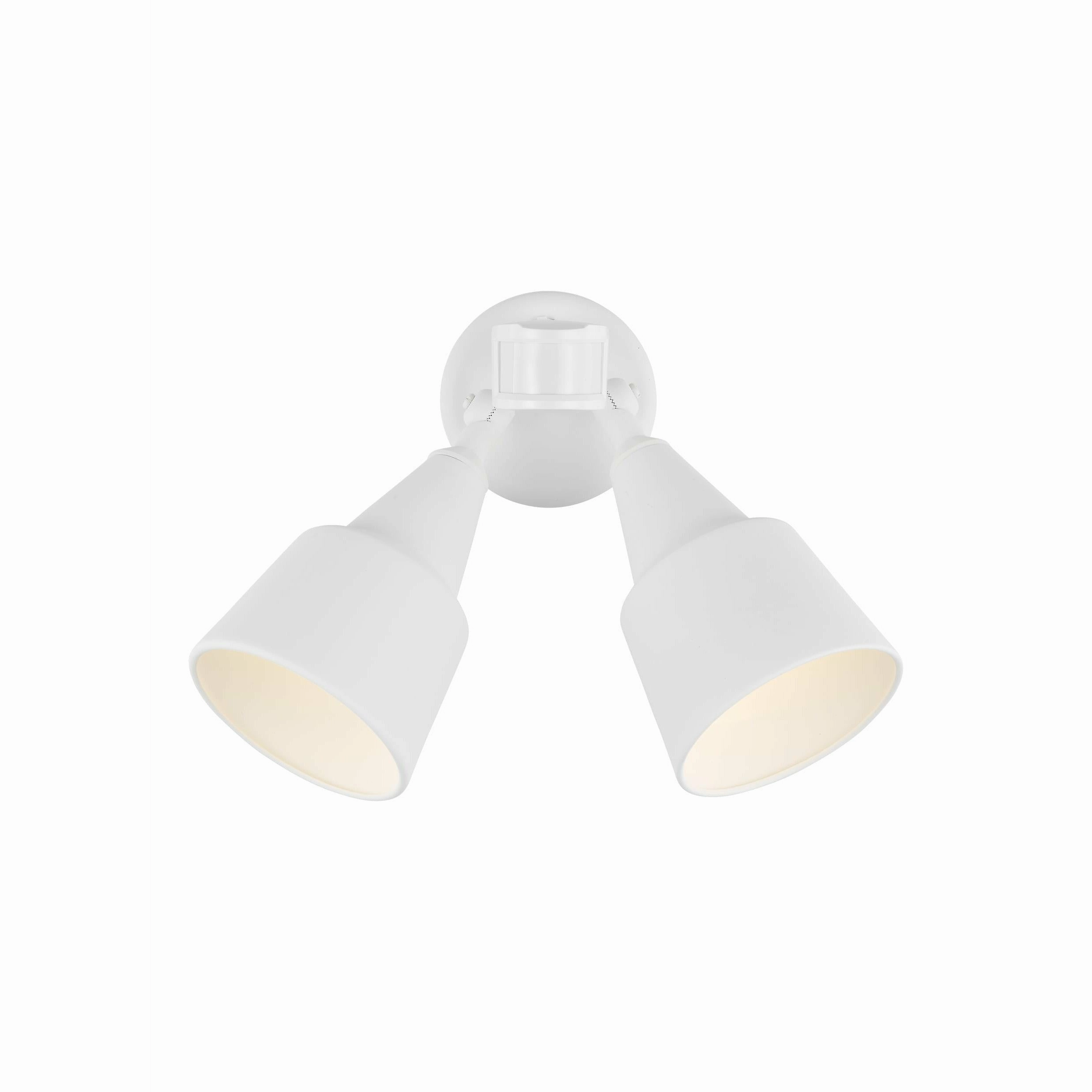 Flood Light 2-Light Outdoor Wall Light with Photo and Motion Sensor