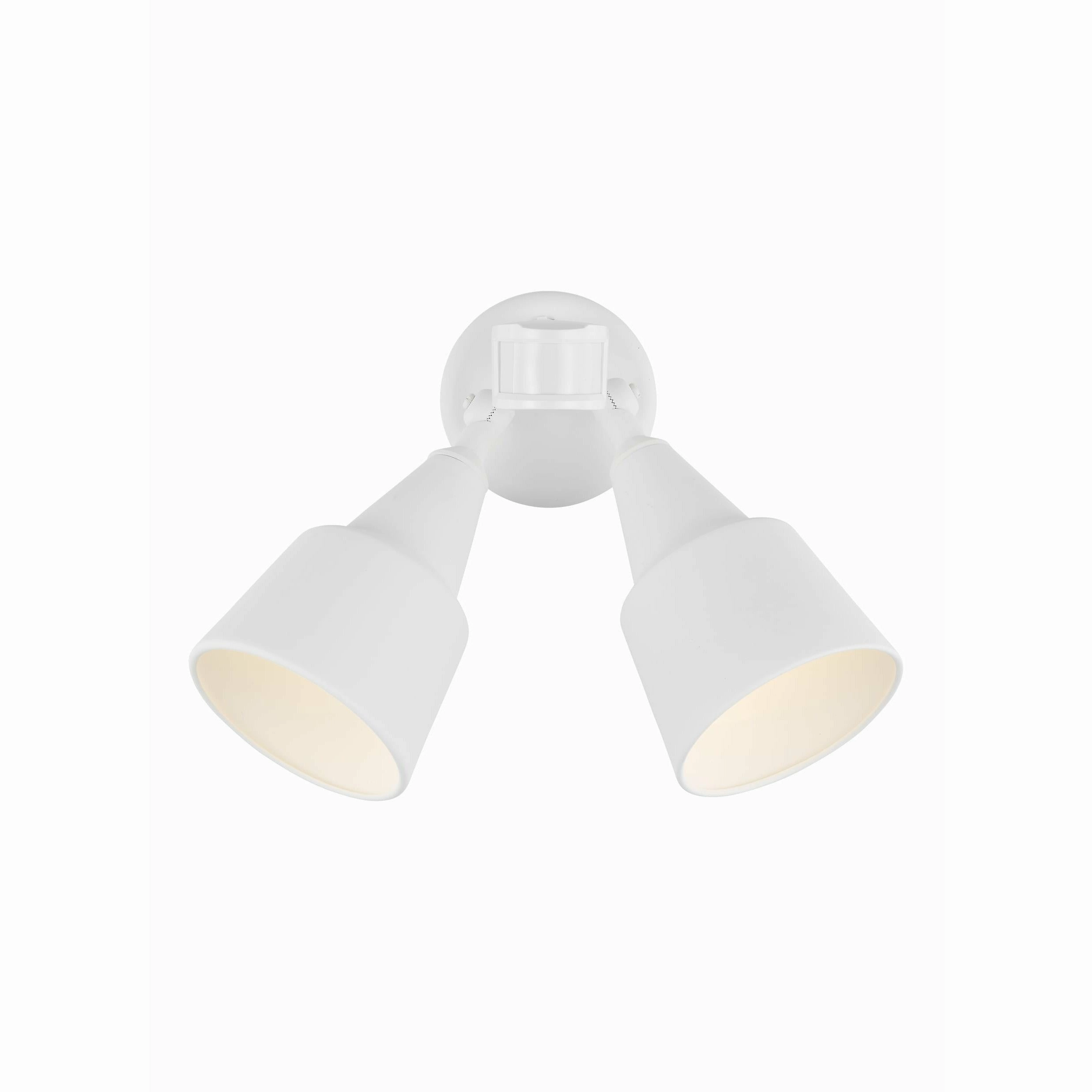 Flood Light 2-Light Outdoor Wall Light with Photo and Motion Sensor (with Bulbs)