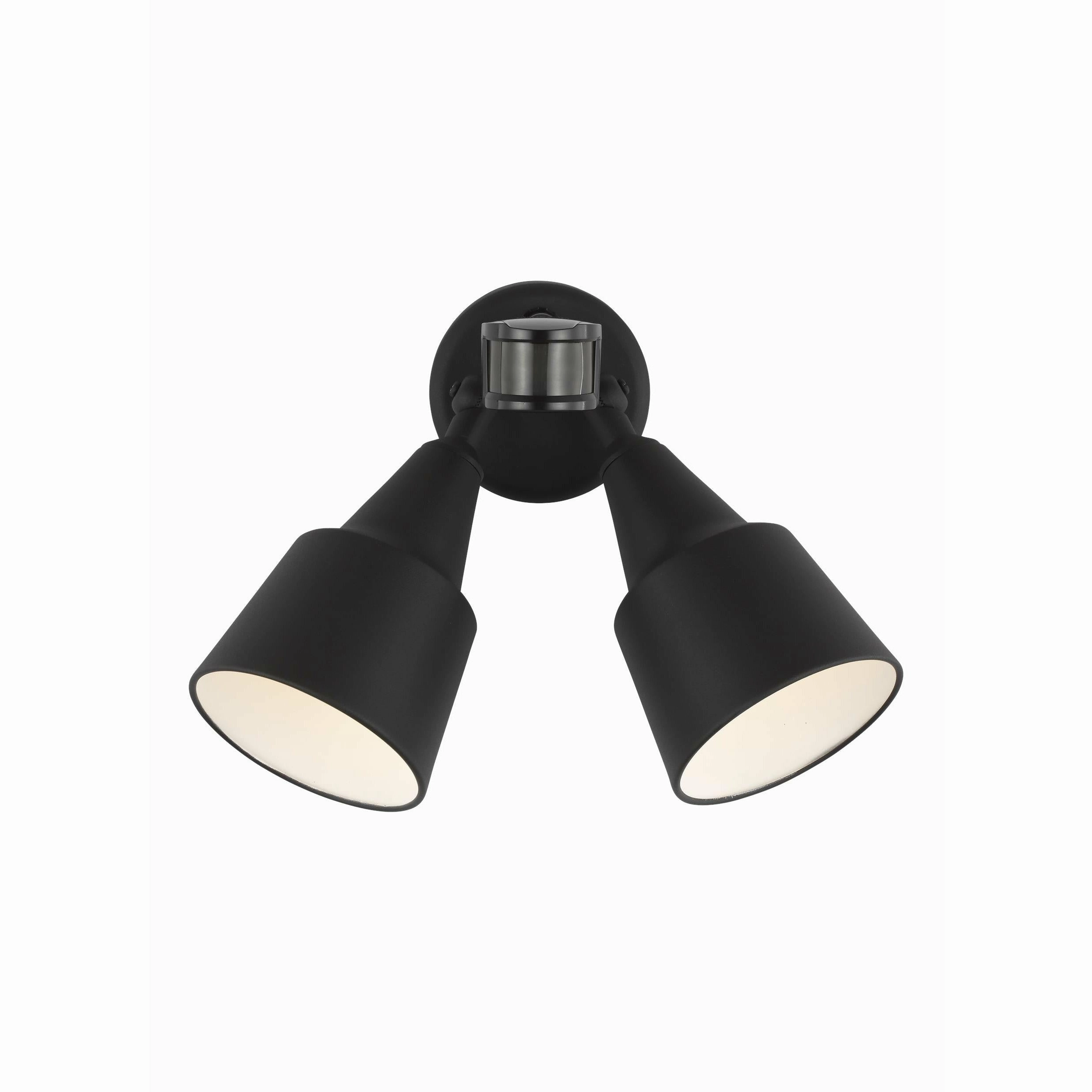 Flood Light 2-Light Outdoor Wall Light with Photo and Motion Sensor (with Bulbs)Weatherproof outdoor lighting