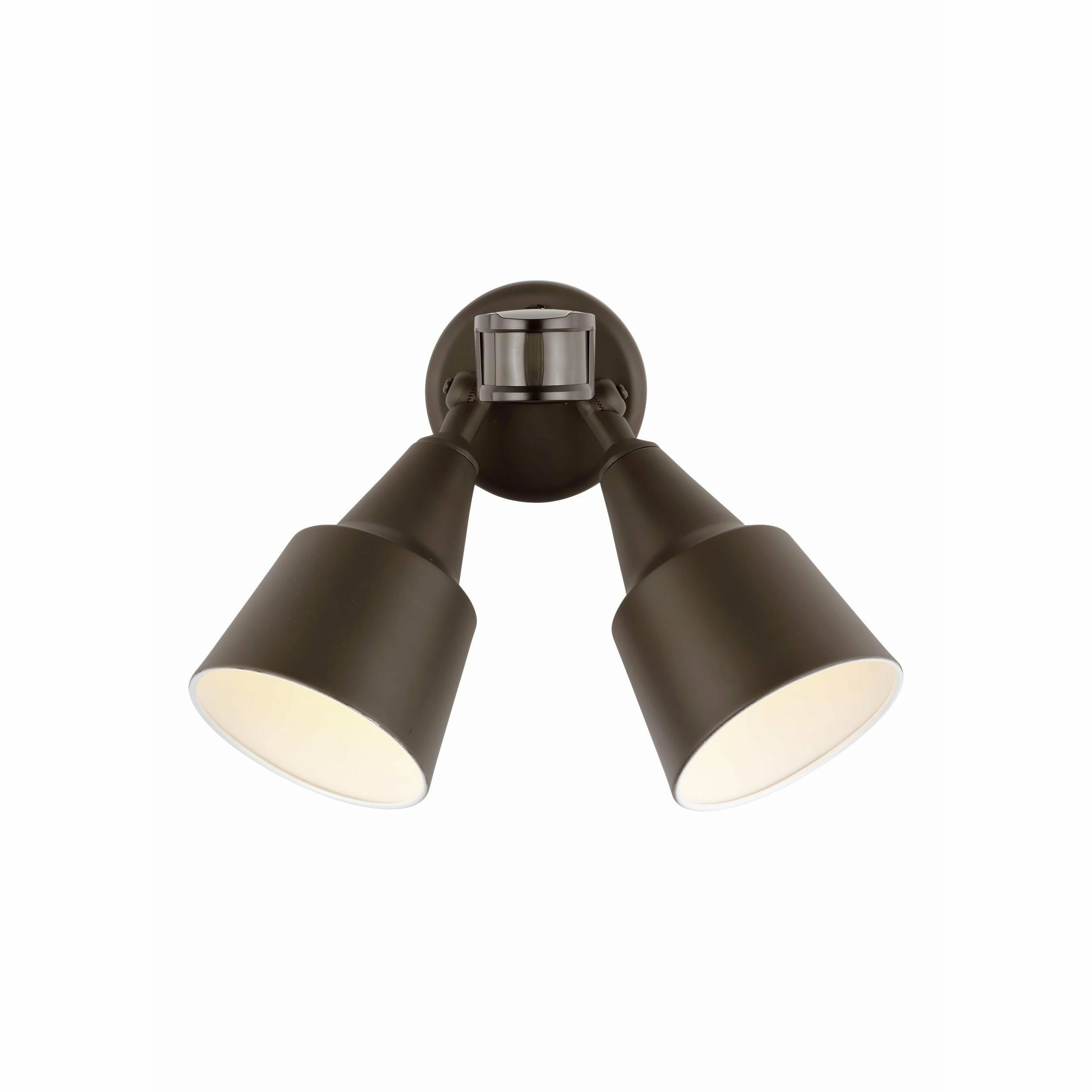 Flood Light 2-Light Outdoor Wall Light with Photo and Motion Sensor (with Bulbs)
