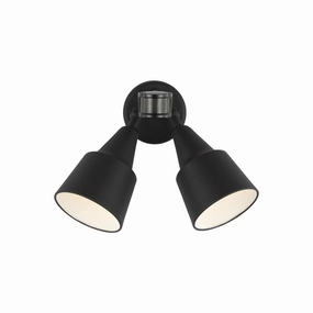 Flood Light 2-Light Outdoor Wall Light with Photo and Motion Sensor (with Bulbs)Weatherproof outdoor lighting