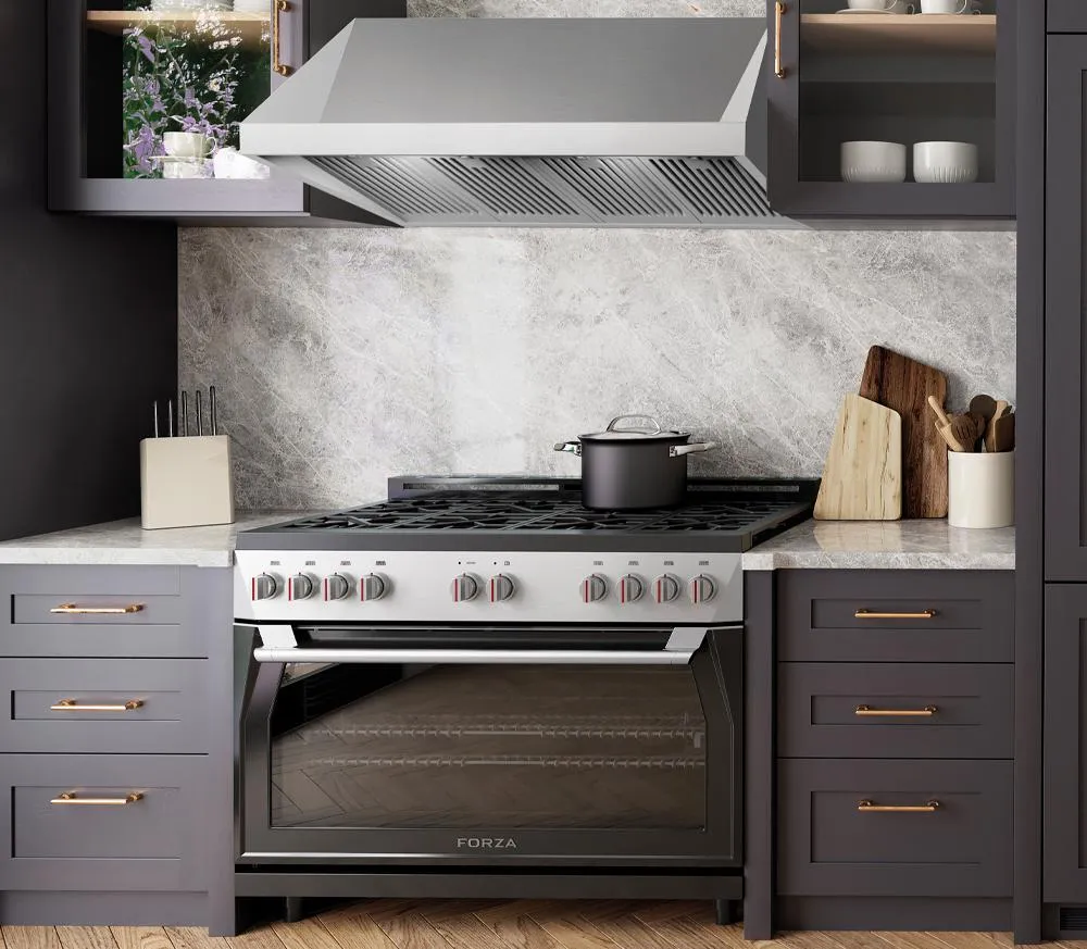 Forzacucina FH4824 48 Inch Professional Wall Mounted Range Hood, 24 Inches Tall