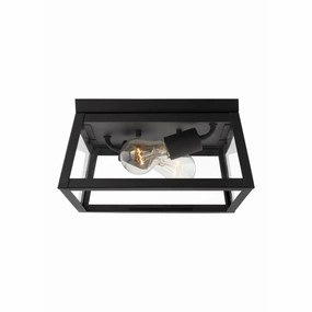 Founders 2-Light Outdoor Ceiling LightWeatherproof outdoor lighting