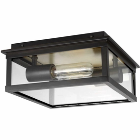 Freeport Outdoor Ceiling LightWeatherproof outdoor lighting
