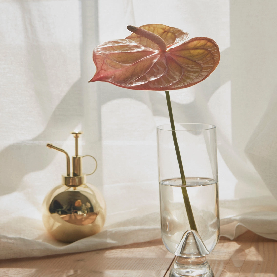 Globe Flower Mister (Order Quantity: 4)