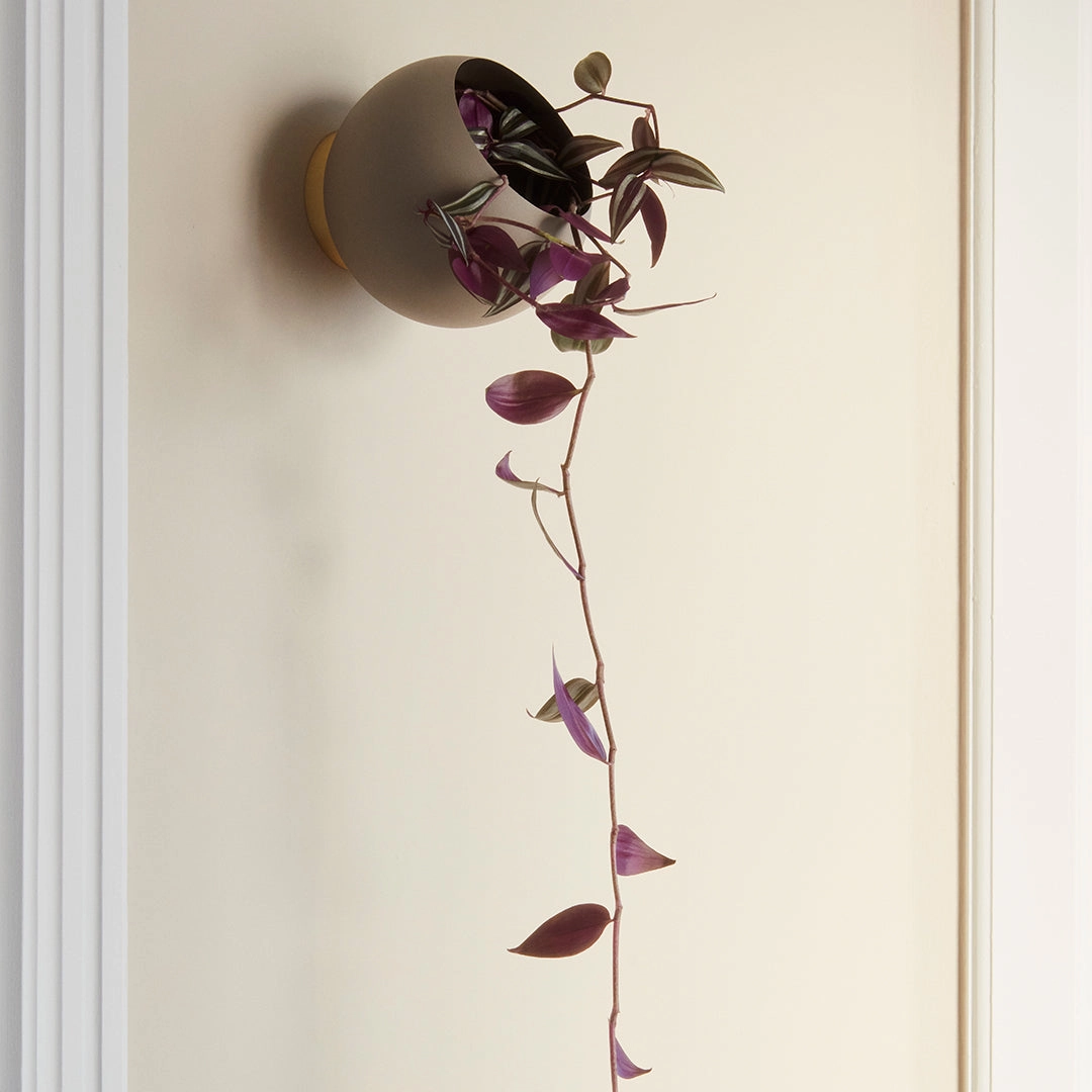 Globe Wall Flowerpot - Small (Order Quantity: 4)