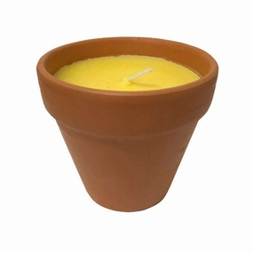 Weekend Sale Special Peppermint Citronella Infused Candle In A Terracotta Pot Relaxus
