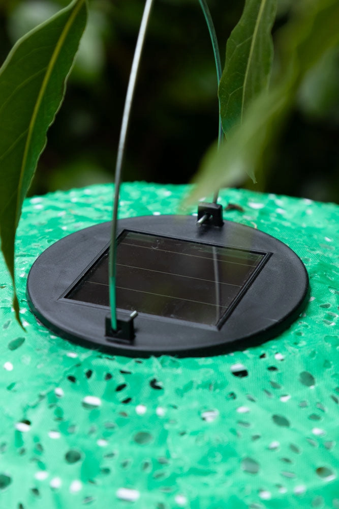 Green Hanging Outdoor Solar Lantern