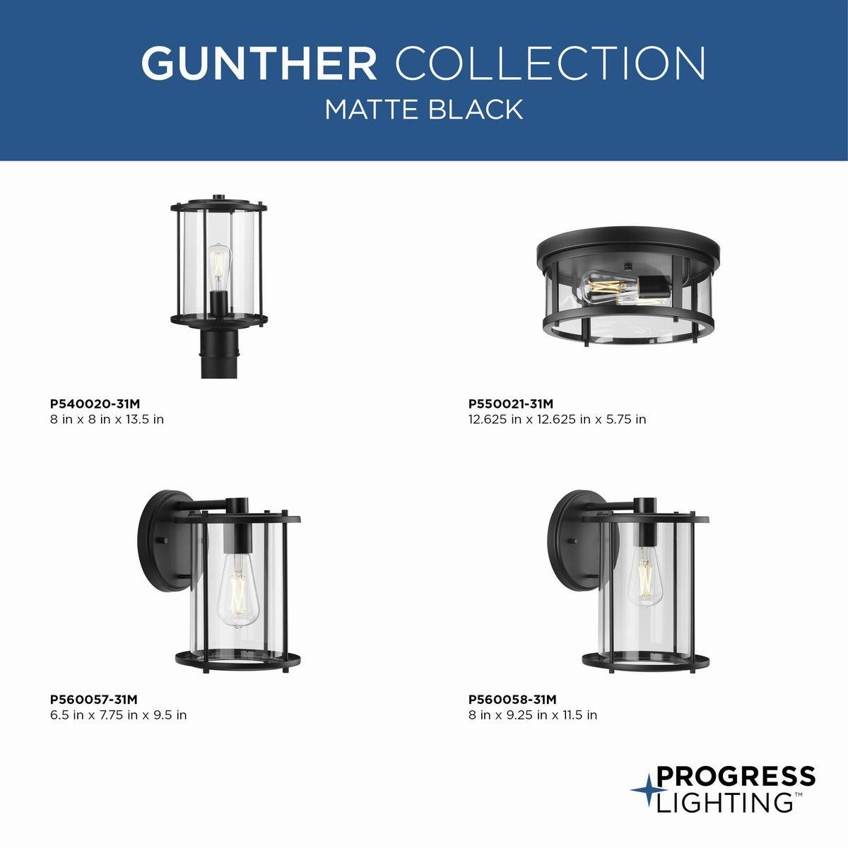 Gunther One Light Outdoor Wall Lantern Matte Black