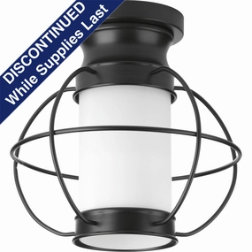 Haddon Outdoor Ceiling LightWeatherproof outdoor lighting