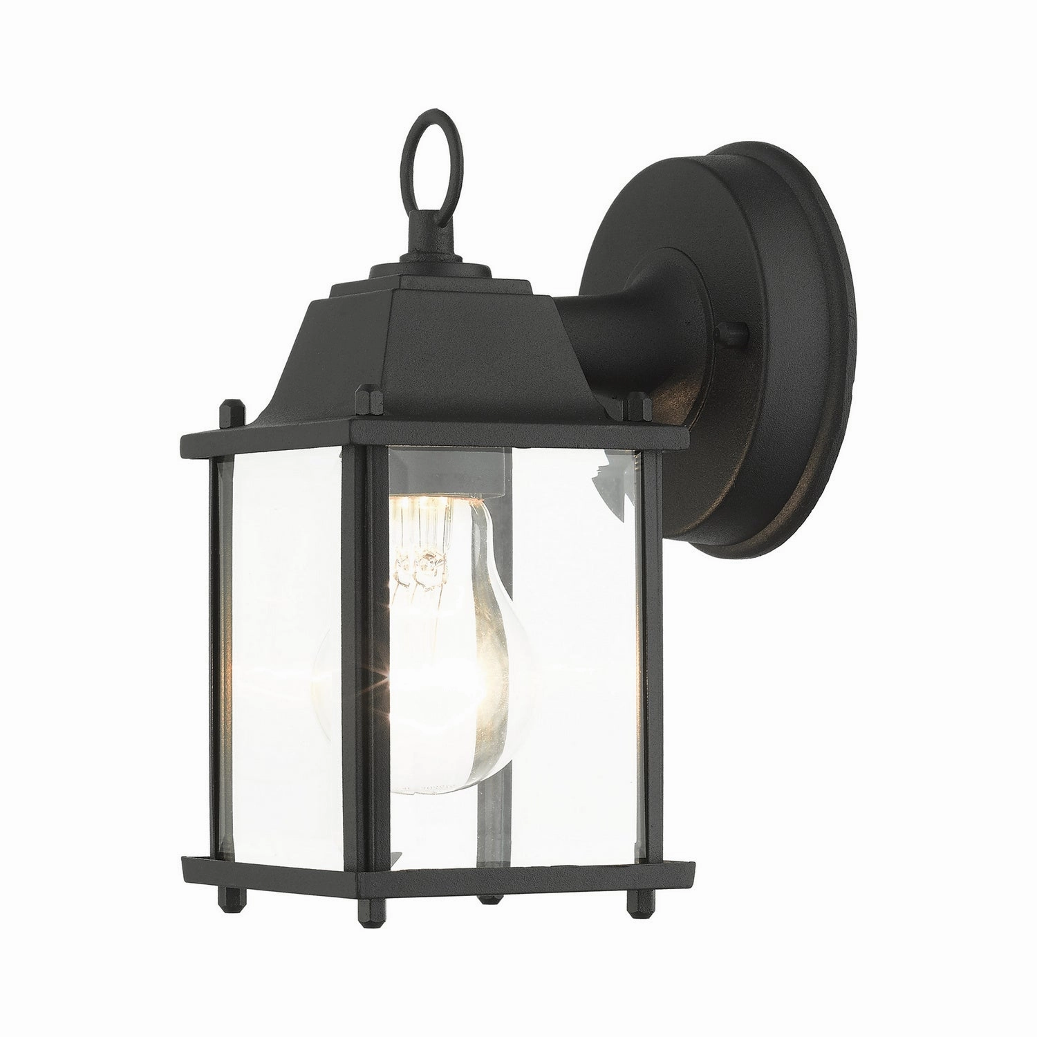 Hamilton One Light Outdoor Wall Lantern Textured Black