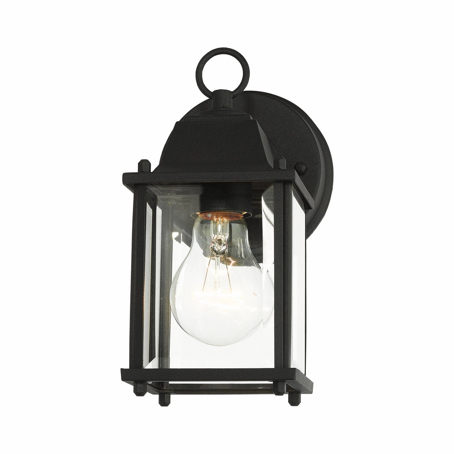Hamilton One Light Outdoor Wall Lantern Textured Black