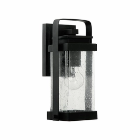 Homestead 1-Light Outdoor Wall LightWeatherproof outdoor lighting