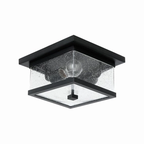 Homestead 2-Light Outdoor Ceiling LightWeatherproof outdoor lighting