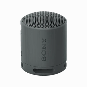 Srs-Xb100 Special Occasion Discount