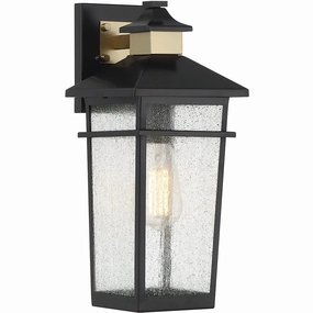 Kingsley 1-Light Outdoor Wall LanternWeatherproof outdoor lighting