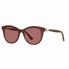 Mega Hot Offer Ladies' Sunglasses Jimmy Choo Annabeth-S-Mwu  51 Mm