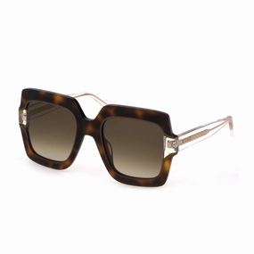 Dont Miss This Steal Ladies' Sunglasses Just Cavalli Sjc023V-5309Aj  53 Mm
