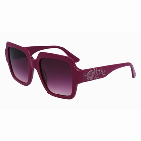 Today Only Hot Pick Exclusive Online Discount Ladies' Sunglasses Karl Lagerfeld Kl6104Sr-501  53 Mm