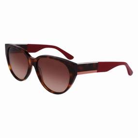 Ladies' Sunglasses Lacoste L985S-240  59 Mm Hot Pick of the Day Grab It Fast