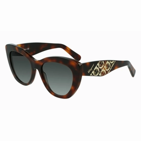 Instant Savings Inside Ladies' Sunglasses Salvatore Ferragamo  Sf1022S-214  53 Mm