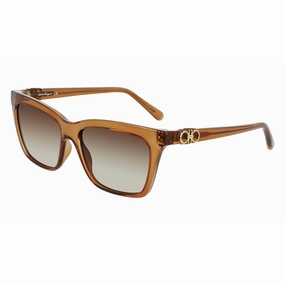 Ladies' Sunglasses Salvatore Ferragamo Sf1027S-210  55 Mm Save Big Today