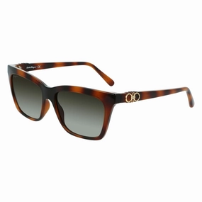 Weekend Sale Special Instant Hot Deal Ladies' Sunglasses Salvatore Ferragamo Sf1027S-214  55 Mm