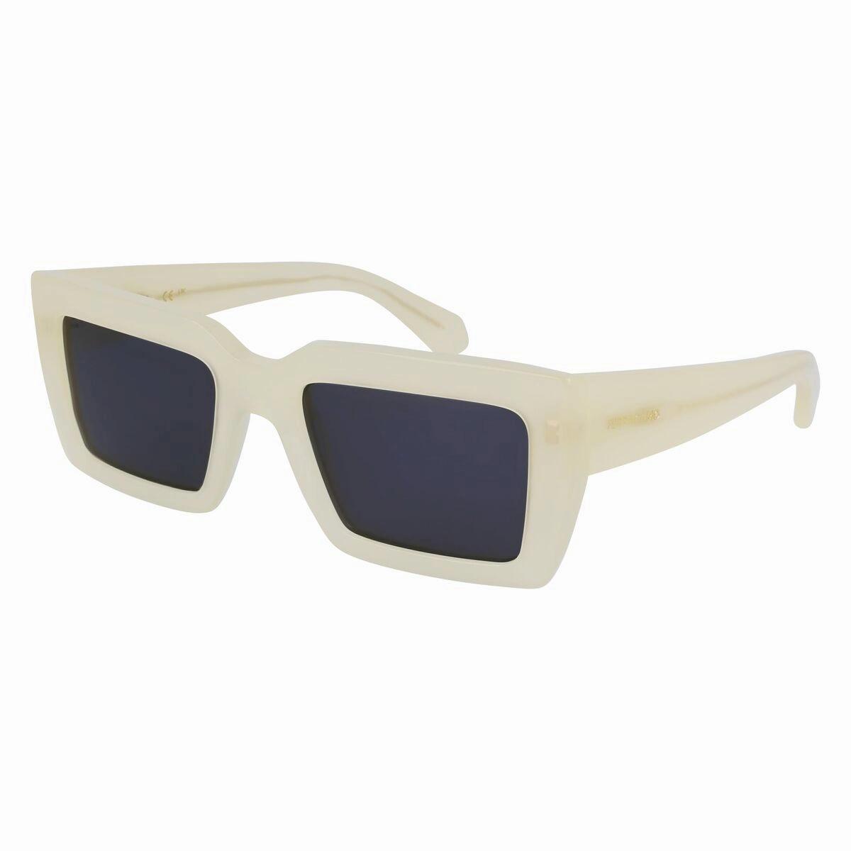 Grab Your Deal Today Instant Savings Deal Ladies' Sunglasses Salvatore Ferragamo Sf1108S-5421104  54 Mm