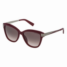 Limited Time Steal Ladies'Sunglasses Trussardi Str1795409Fh ( 54 Mm)
