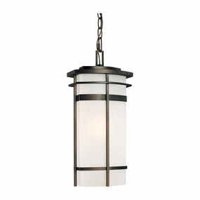 Lakeshore 1-Light Outdoor Hanging LanternWeatherproof outdoor lighting