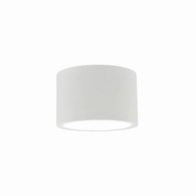 Lamar Outdoor Ceiling LightWeatherproof outdoor lighting