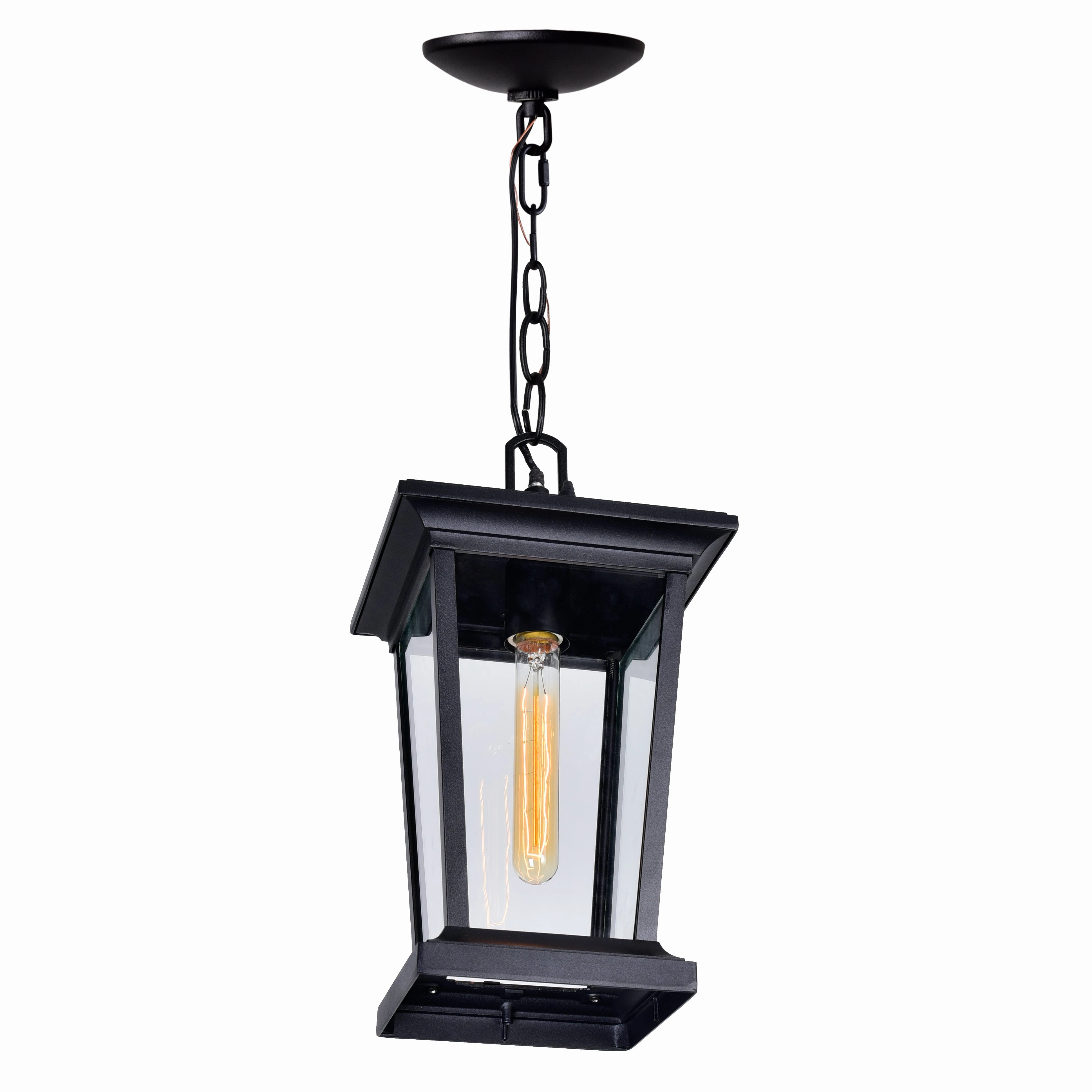Leawood 1-Light Outdoor Pendant