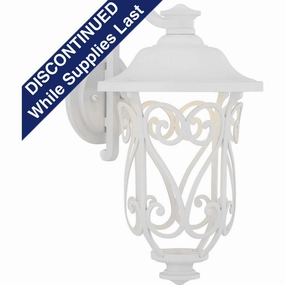 Leawood LED Outdoor Wall LightWeatherproof outdoor lighting