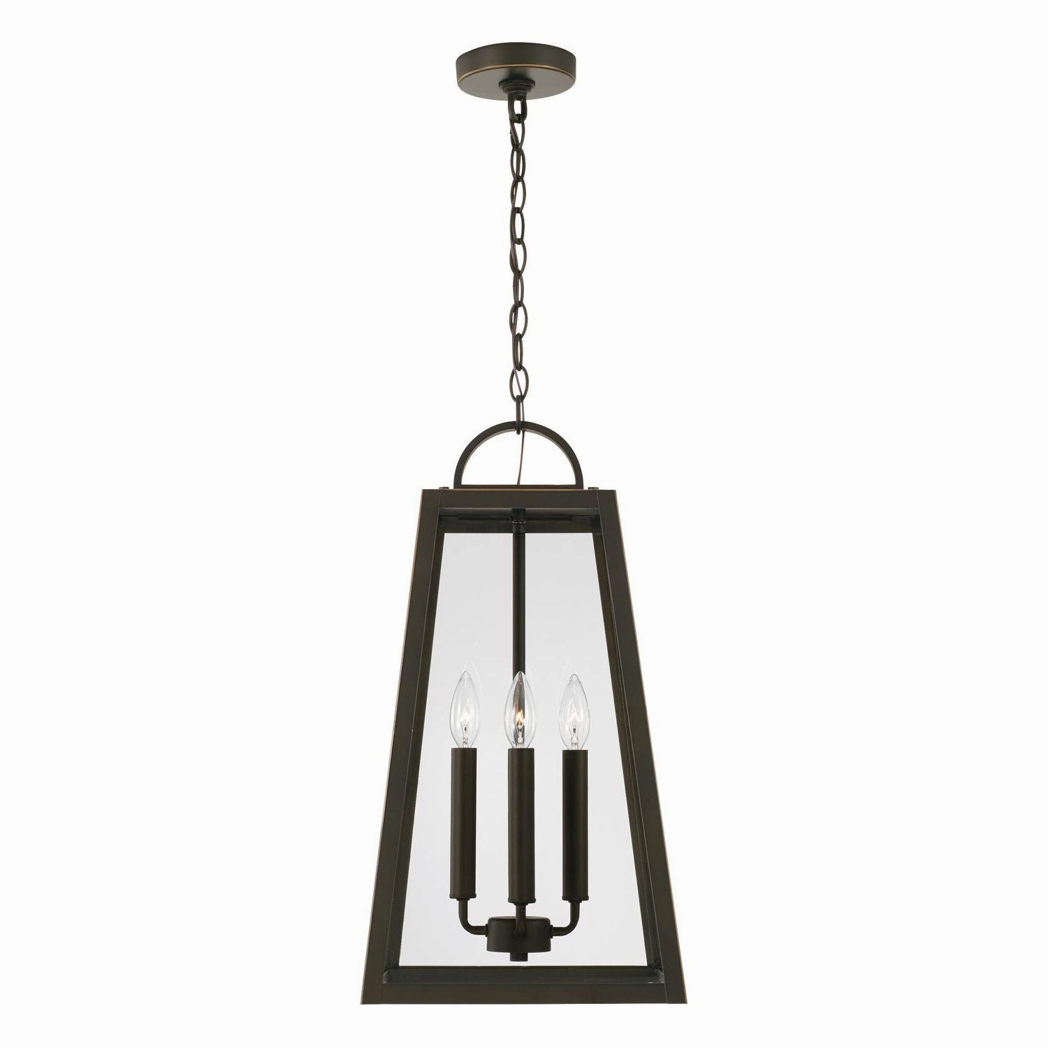 Leighton 4-Light Outdoor Hanging Lantern
