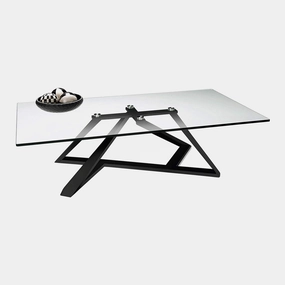 Leo - Coffee Table In Glass & Black Metal Frameoutdoor coffee table for patio or lounge