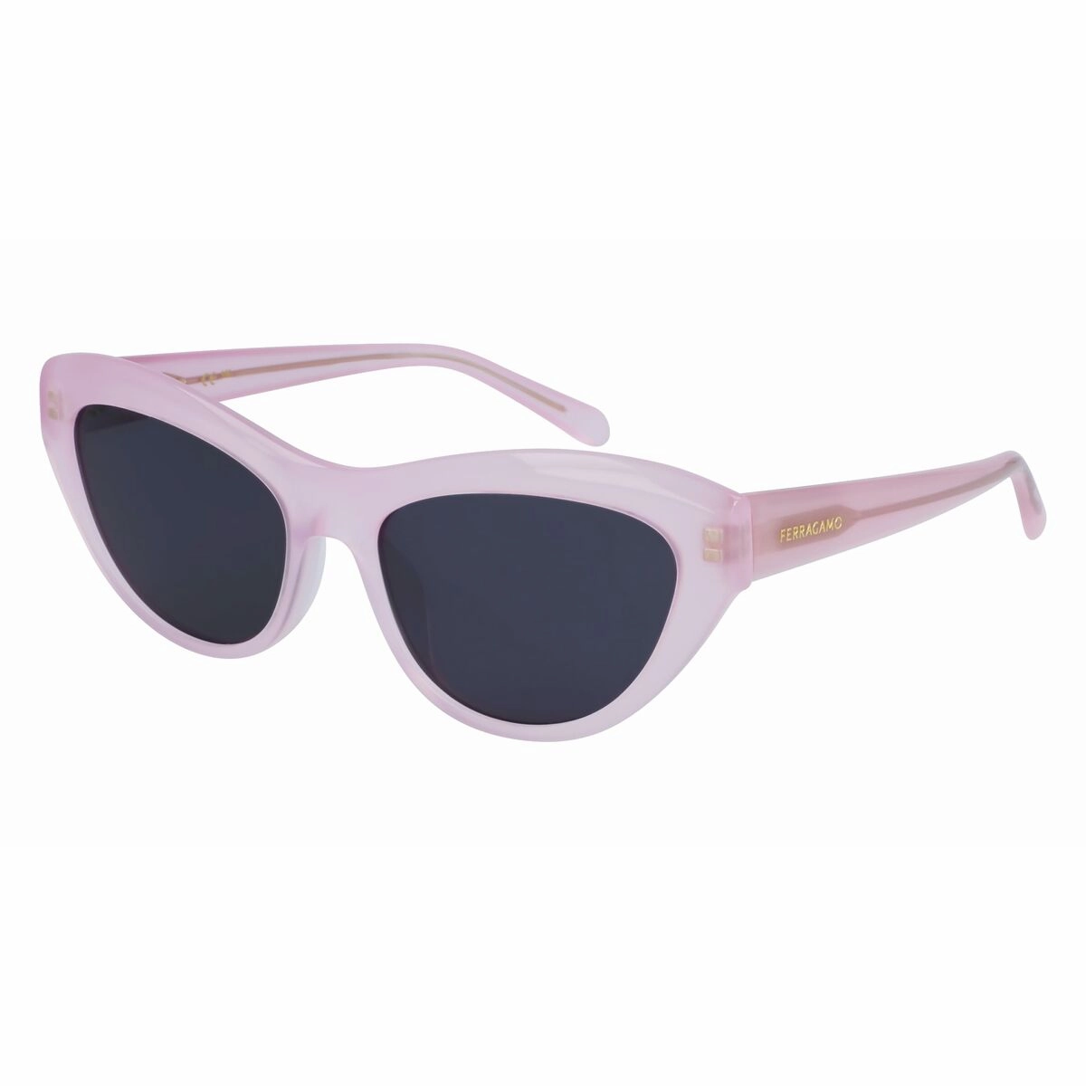 Ladies' Sunglasses Salvatore Ferragamo Sf1103S-5517663  55 Mm Special Occasion Discount Dont Miss Hot Deals