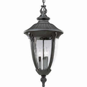 Meridian Outdoor Ceiling LightWeatherproof outdoor lighting